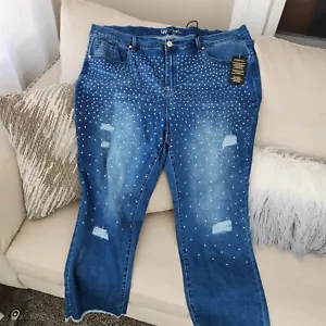 NWT DG2 By Diane Gilman Womens rhinestone classic Jeans denim 24W - Picture 1 of 4