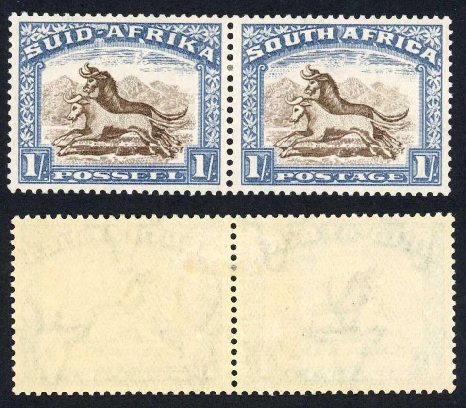 Sudáfrica SG62 1/- Marrón y Azul Calcáreo M/M Gato 55 libras Foto 1 de 1