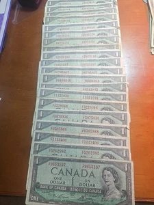lot of 1954 canadian 1 dollar  bills - 20 X 1$ - Bild 1 von 2