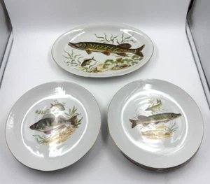 Wunsiedel Teller Bavaria Fisch Motiv Porzellan Hecht Flussbarsch 7 teilig top - Bild 1 von 8