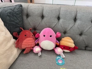 Squishmallows Set mit 5 Meerestieren Hummer, Cailey, 3 Krebse und Einsiedlerkrebse - Bild 1 von 1