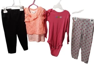 Paquete de 4 camisas y pantalones para bebé niña talla 24M mezcla y combinación - Imagen 1 de 6