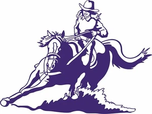 Cowgirl Barrel Racing Rodeo Horse Western Car Truck Window Vinyl Decal Sticker - Picture 1 of 2