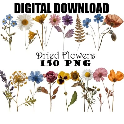 Pressed Dried Wildflowers Printable Clipart Digital Download Printable Flowers - Image 1 of 4