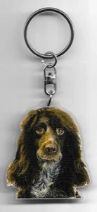 EPAGNEUL DE Pont Audemer keychain chien / SPANIEL DOG K.FOB - Picture 1 of 2