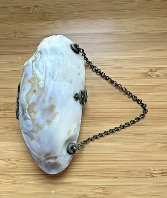 Antiguo monedero madreperla Chatelaine concha broche de latón cadena victoriano Foto 1 de 4