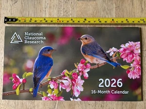 National Glaucoma Research - 2026 KLEINER Wandkalender - 16 Monate - Vogelfotos! - Bild 1 von 13
