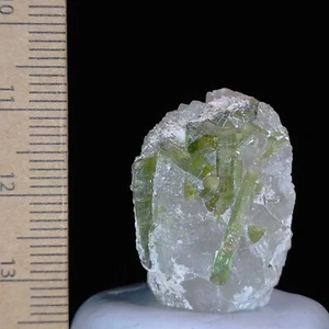 Green Tourmaline crystals on Quartz matrix natural mineral specimen 65.7ct - Bild 1 von 7