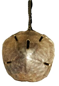 Real Sand Dollar Necklace 28" Long Pendant Gold Tone 2.5" Wide With Gift Bag - Picture 1 of 7