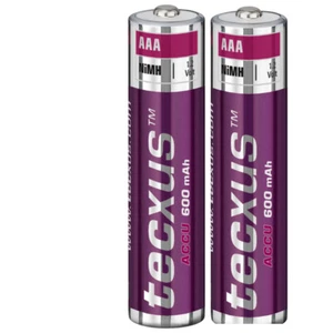 2 x Tecxus Akkus AAA Micro 600mAh 2 Stück wiederaufladbare Batterien Accus