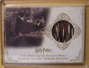 Harry Potter-Screen Used-SS-MM1-Cinema-Movie-Practice Broom Bristles-Prop Card - Picture 1 of 4