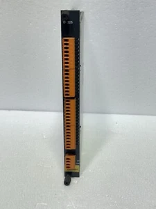 KEBA / DURR DI 325 Digital Input Module Card DI 325/B - Picture 1 of 5