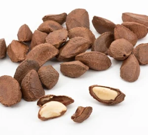 25kg Paranüsse ganz in Schale aktuelle Ernte - **KNALLERPREIS** 0 0 - Bild 1 von 1