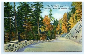 Skyline Drive Autumn Clingman’s Dome Great Smoky Mountains Postcard E1 - Picture 1 of 2