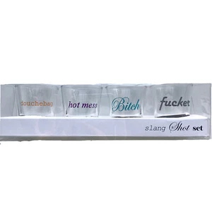 Urban Outfitters Slang Shot Glass Set Of 4 New In Box Fun Gift UO Barware - Picture 1 of 5