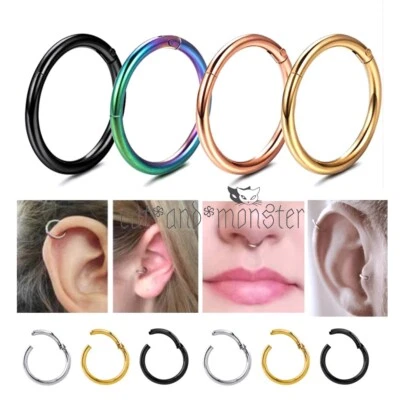 2PCS Titanium Seamless Segment Clicker Septum Ear Lip Nose Ring Piercing Hoop — 第 1/4 张图片