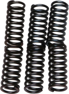 EBC - CSK36 - CSK Clutch Spring Kit 10% Stiffer Than Stock Springs - Picture 1 of 1