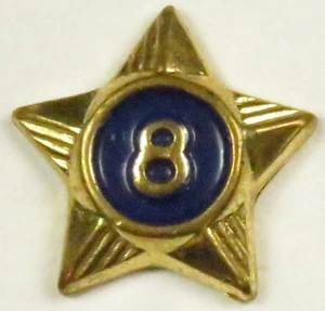 Pfadfinder 8 Jahre Mitgliedschaft Stern Pin (PIN5087) - Bild 1 von 1