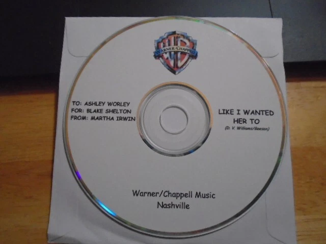VERY RARE David Vincent Williams DEMO CD country UNRELEASED for Blake Shelton WC - Image 1 of 1