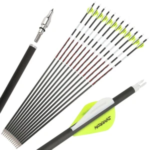 31" Pure Carbon Arrows Archery SP300-600 Compoundbow Recurve Bow Fields Hunting - Picture 1 of 18
