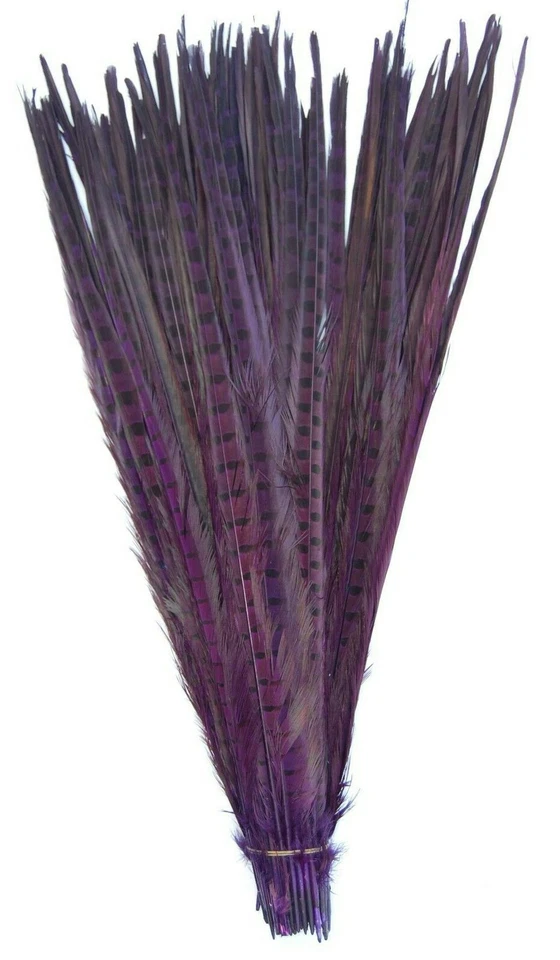 DYED ENGLISH RINGNECK Pheasant Feathers 20-26" MANY COLORS! Costume/Hats/Craft - Image 1 of 1