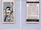 FC34-1 Brook Bond, Songbirds North America, 1959, #25 Black-Capped Chickadee