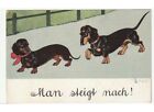 1911 Poe Antique Card Pair Dogs Dachshund Lovers - Posted 11