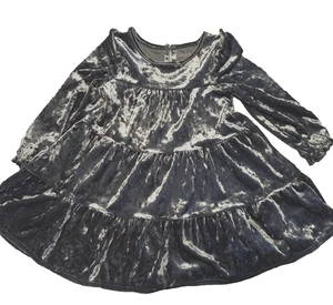 Kleinkind Mädchen 2T Cat & Jack grau silber glänzend Velours Langarm Stufenkleid - Bild 1 von 6