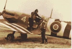 Kreuzstichmuster von Florashell - Spitfire Flugzeug sicher zu Hause - Bild 1 von 1