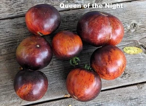 SEED-TOMATO Blackest Black Seeds- Queen of the Night or Black Beauty Heirloom - Bild 1 von 9