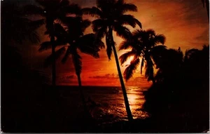Ein wunderschöner Sonnenuntergang am Strand auf Hawaii Chrom Postkarte E3 - Bild 1 von 2