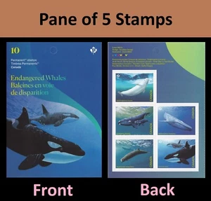 Canada 3328-3332 Endangered Whales P pane 5 A MNH 2022 - Picture 1 of 3