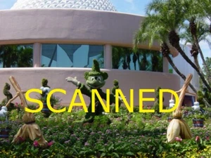 2009 Disney Epcot FLOWER AND GARDEN FESTIVAL PHOTO CD - Picture 1 of 1