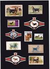 AUSTRALIAN TERRIER SET VINTAGE MOUNTED DOG COLLECTABLE CARDS STAMPS AND BANDS