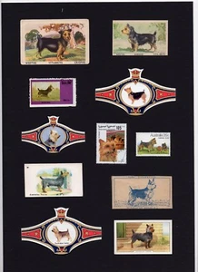 AUSTRALIAN TERRIER SET VINTAGE MOUNTED DOG COLLECTABLE CARDS STAMPS AND BANDS - Foto 1 di 1