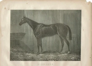 ESTAMPADO VICTORIANO DE VESTIDO AZUL DERY Y COPA DE ORO EPSOM Y ASCOT 1868 - Imagen 1 de 2