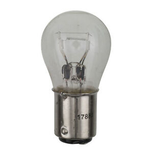 Tail Light Bulb Wagner Lighting 17881