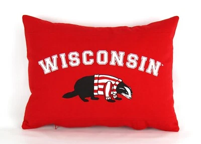 University of Wisconsin Badgers Decorative Pillow - Image 1 of 4