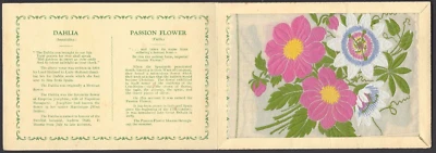 WIX (J) - KENSITAS FLOWERS (EXTRA LARGE, PLAIN) - DAHLIA, PASSION FLOWER - Image 1 of 2