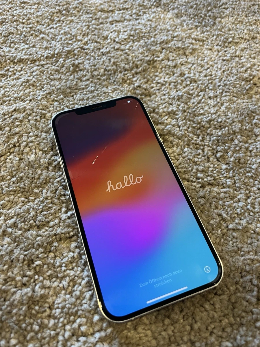 Apple iPhone 12 Pro Max 256GB online kaufen | eBay.de