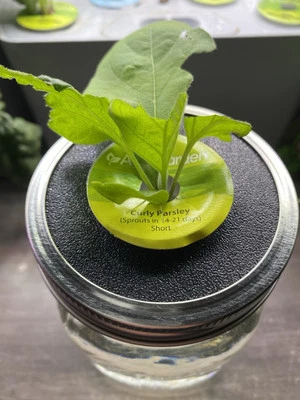 AeroGarden Pod Mason Jar Adapter for Kratky Gardening - Image 1 of 4