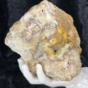 5-3/4” Unique Red Blue Botryoidal Chalcedony Agate Crystal Quartz Rough Lapidary - Picture 1 of 9
