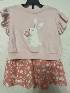 NWT Wonder Nation Girls Easter Top & Floral Skirt Pink Set w/Bunnies, 3T - Picture 1 of 2