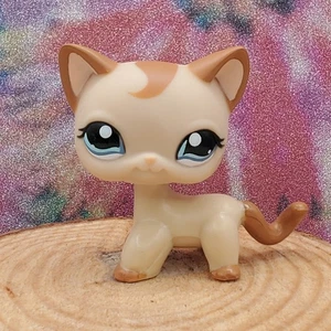Authentic Littlest Pet Shop LPS STYLIN' PETS RUNWAY CAT #1024 - Picture 1 of 7