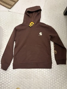 CARHARTT GRAPHIC HOODIE BOYS XLG 18/20 NWT BROWN ONE POCKET FRONT - Picture 1 of 17