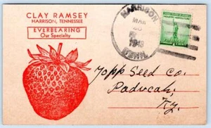 1943 HARRISON TENNESSEE TN CLAY RAMSEY STRAWBERRY PLANTS ADVERTISING POSTCARD - Picture 1 of 2