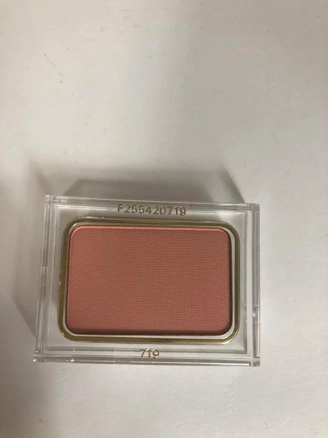 CHRISTIAN DIOR FINAL BLUSH POWDER  # 719 NEW *** - Image 1 of 1
