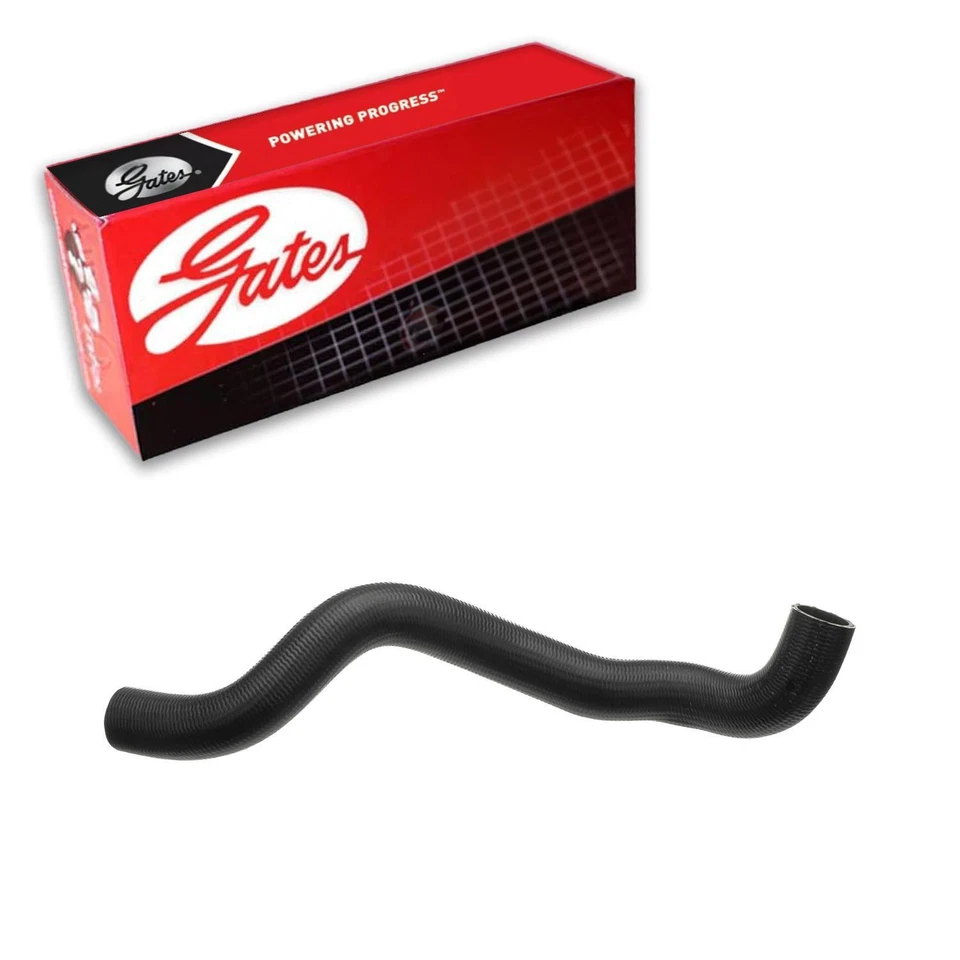 Manguera inferior de refrigerante de radiador Gates para Ford F-150 2004-2008 Foto 1 de 4