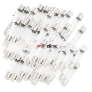 100Pcs 250V 10A Fast Acting Glass Tube Fuses Fast Blow 6x30mm Silver ToneClea✦Kd - Picture 1 of 4