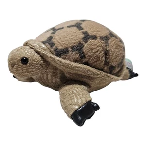 Zoona Wildlife Schildkröte Schildkröte Plüschtier 6 Zoll braun Stofftier Spielzeug 6 Zoll Sammlerstück - Bild 1 von 5